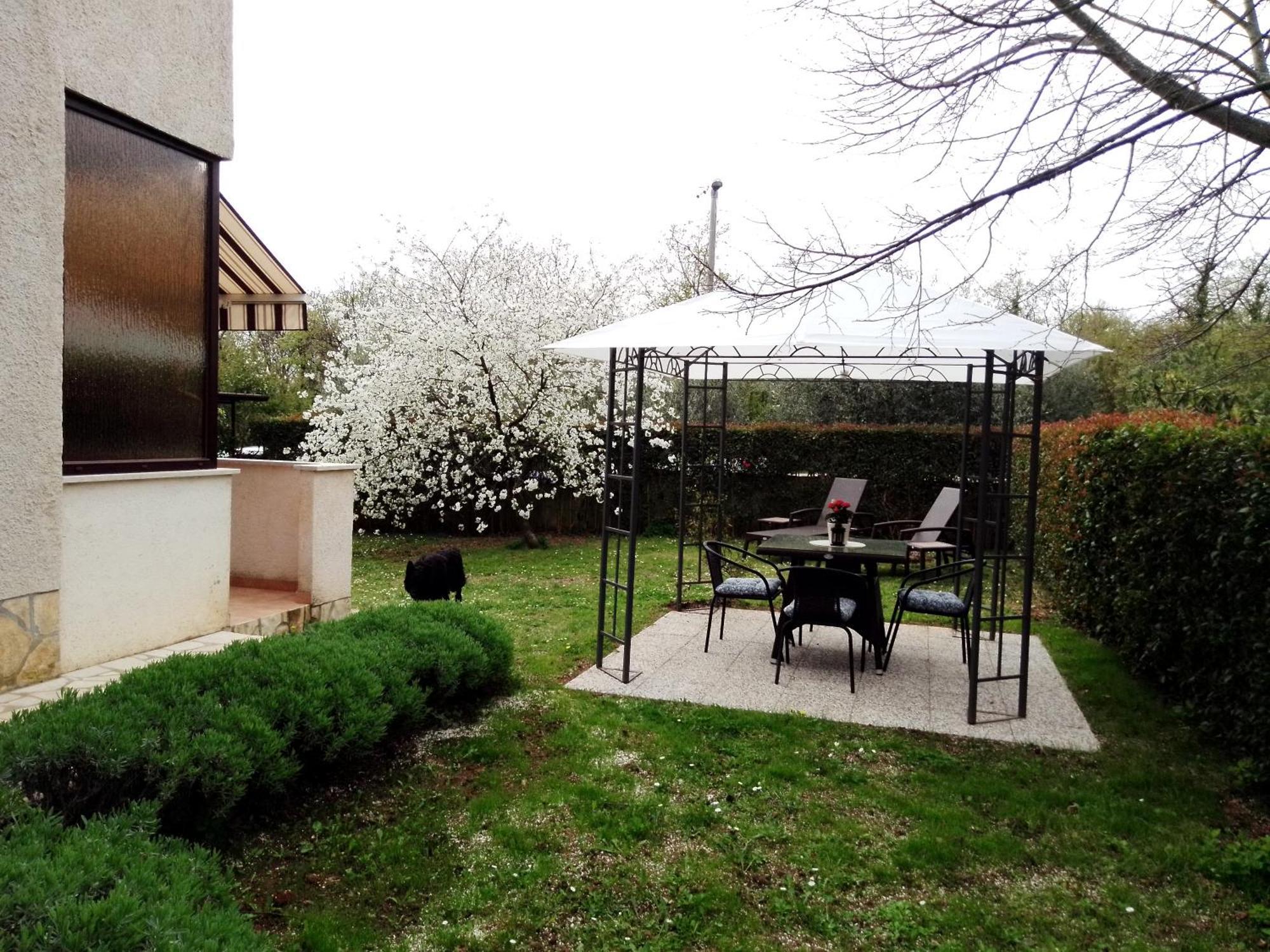 Irena Arvaj Apartman